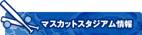 �}�X�J�b�g�X�^�W�A�����