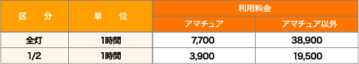 補助野球場 照明設備